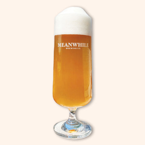 16oz Lager Glass