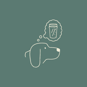 All Dogs Welcome Tee